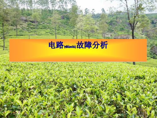 中考物理 电路故障复习课件