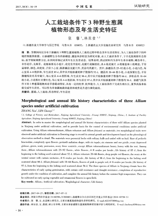 人工栽培条件下3种野生葱属植物形态及年生活史特征