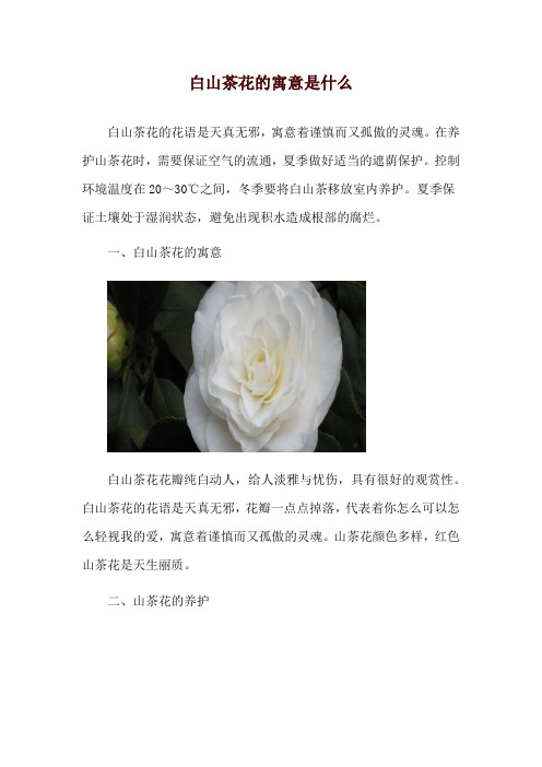 白山茶花的寓意是什么