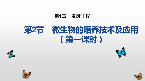 1.2 微生物的培养技术及应用(第一课时)(说课课件)-高二生物人教版选择性必修三