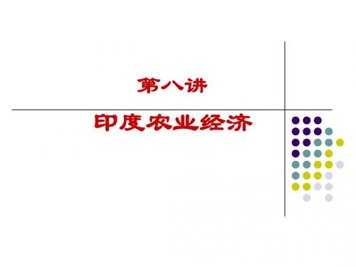 第五讲  印度农