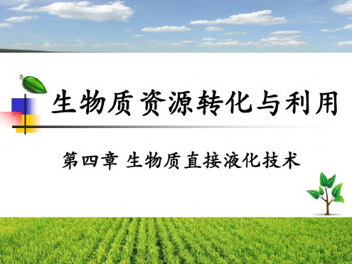 生物质资源转化与利用第四章生物质液化技术-2023年学习资料