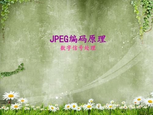 JPEG编码原理