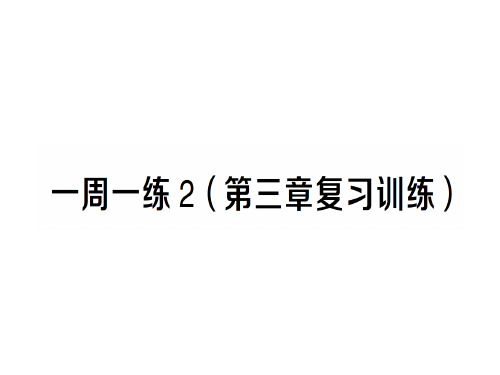 第三章 一周一练2—2020年秋物理八年级上册作业课件