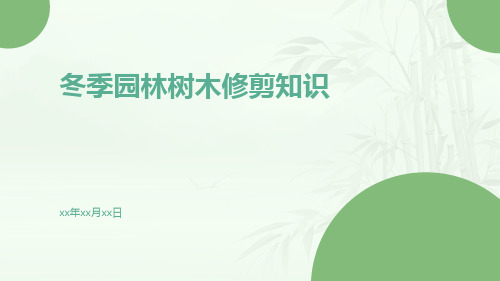 冬季园林树木修剪知识