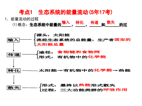 生态系统的功能——能量流动和物质循环