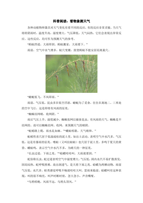 科普阅读：看物象测天气