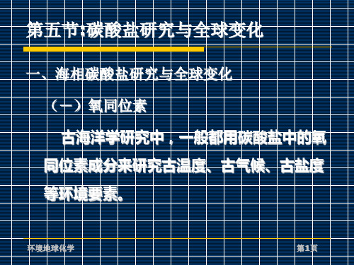 环境地化第7讲