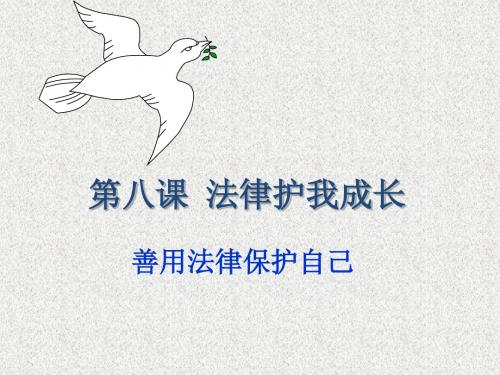 陕西专用人教版政治七年级下8.2《善用法律保护自己》课件