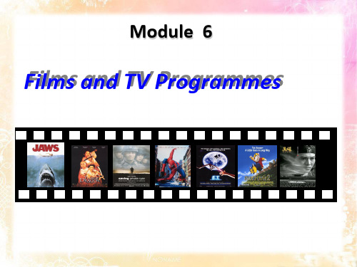 高中英语Module 6 Films and TV Programmes (4)