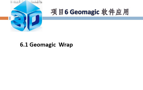 6.1Geomagic Wrap软件应用.pptx