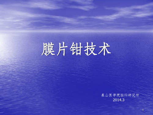 膜片钳技术原理及相关基本知识ppt课件