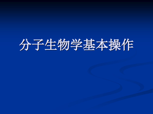 分子生物学基本操作