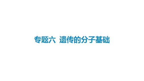 2021届新高考生物二轮复习艺体生专用课件：专题六 遗传的分子基础 