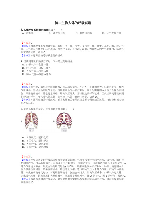 初二生物人体的呼吸试题
