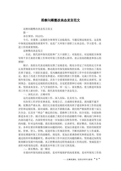 巡察问题整改表态发言范文