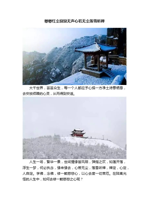 缈缈红尘寂寂无声心若无尘落雪听禅