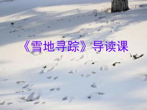 《雪地寻踪》导读课课件