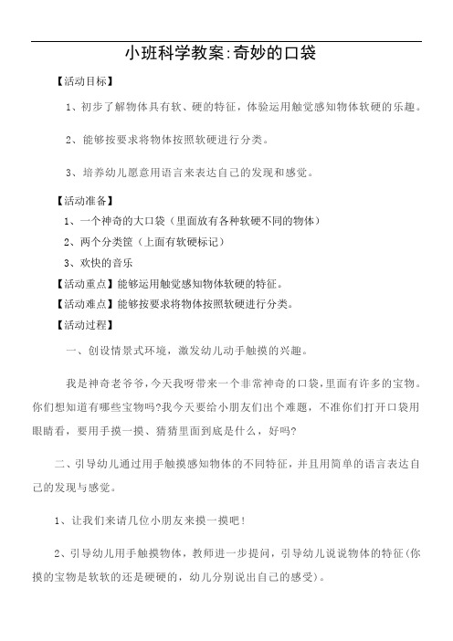 小班科学教案奇妙的口袋
