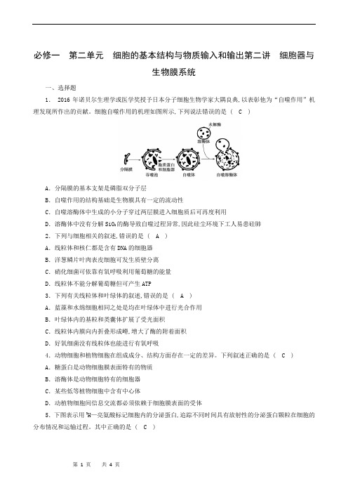 高中生物练习：细胞器与生物膜系统