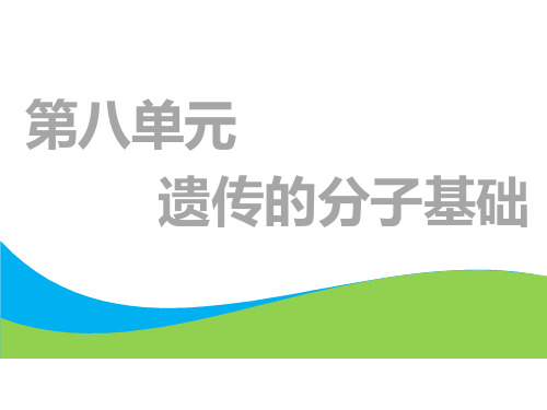 高考总复习《生物》核酸是遗传物质的证据、DNA的分子结构和特点ppt课件