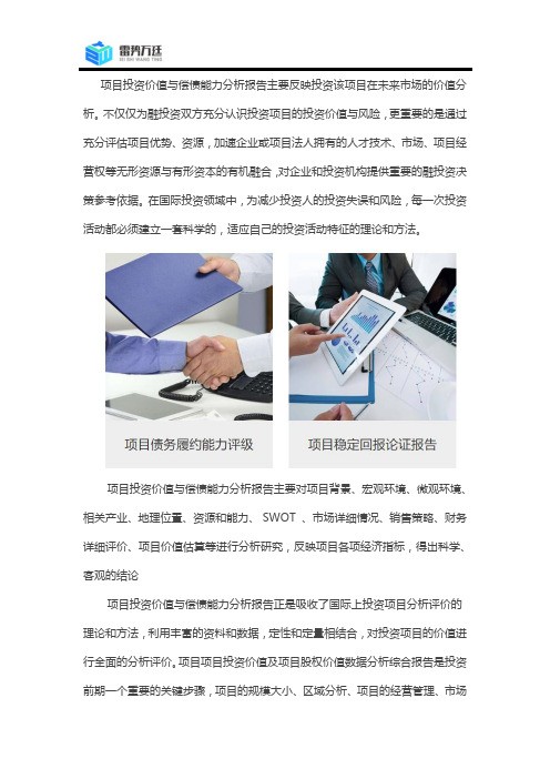 项目投资价值与偿债能力分析报告