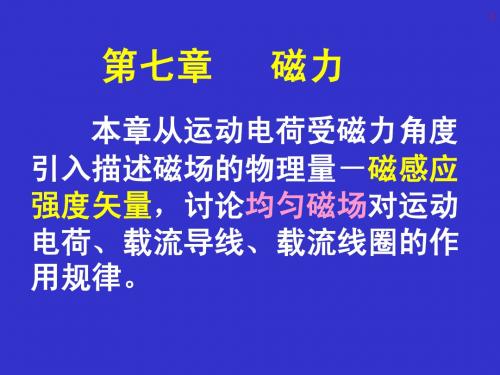 第七章 磁力