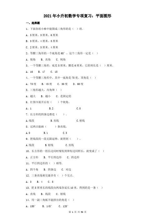 2021年小升初数学专项复习：平面图形附答案解析