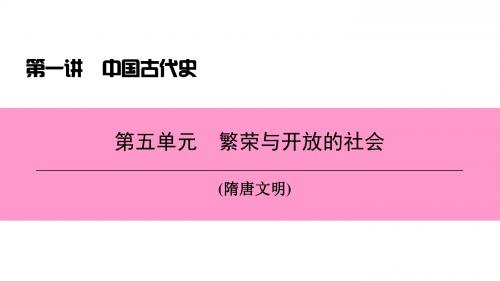 中考历史总复习第一讲中国古代史第五单元繁荣与开放的社会课件