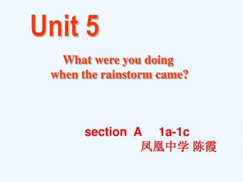 英语人教版八年级下册Unit 5 What were y