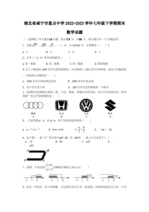 湖北省咸宁市重点中学2022-2023学年七年级下学期期末数学试题