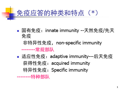 14.  固有免疫系统