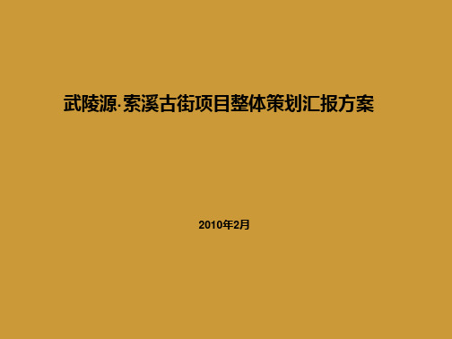 某古街项目整体策划汇报方案(111张)PPT