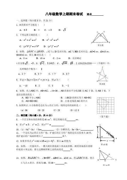 (word完整版)华师大八年级数学上册期末试卷