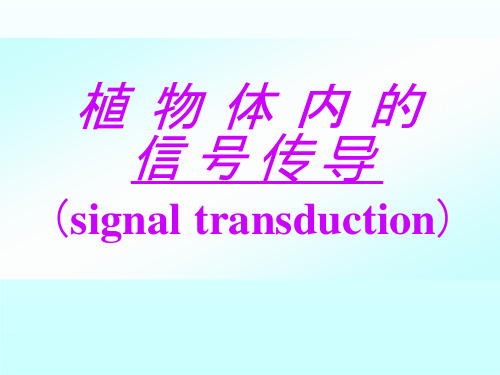 植物体内的信号传导signaltransduction