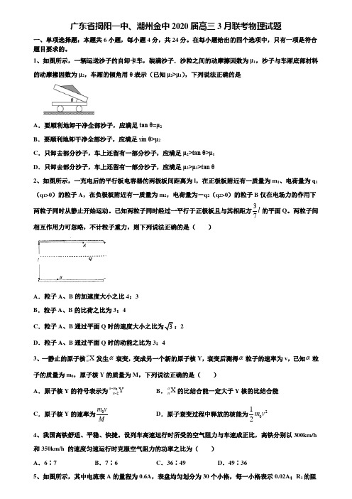 【含高考模拟卷15套】广东省揭阳一中、潮州金中2020届高三3月联考物理试题含解析