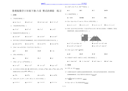 鲁教版数学六年级下册-六章 整式的乘除  练习