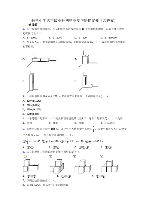 数学小学六年级小升初毕业复习培优试卷(含答案)