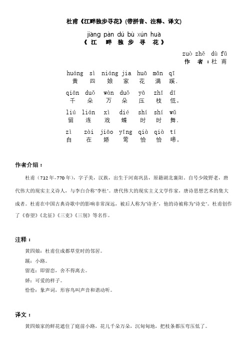 杜甫《江畔独步寻花》(带拼音、注释、译文)