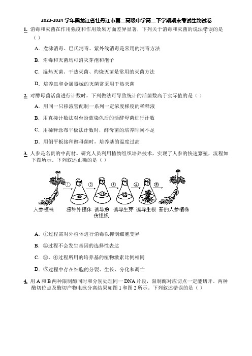 2023-2024学年黑龙江省牡丹江市第二高级中学高二下学期期末考试生物试卷