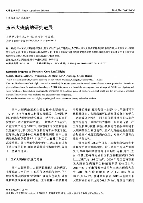 玉米大斑病的研究进展