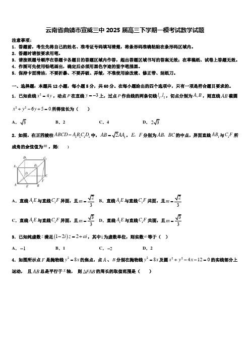 云南省曲靖市宣威三中2025届高三下学期一模考试数学试题含解析