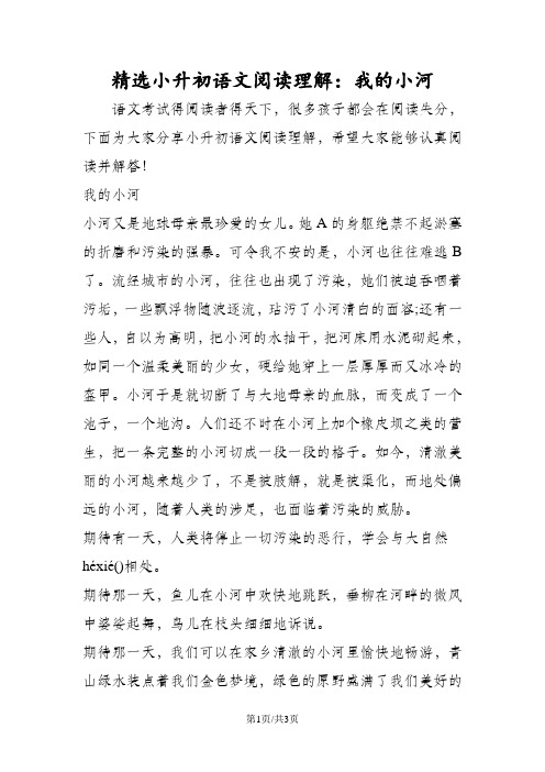 精选小升初语文阅读理解：我的小河