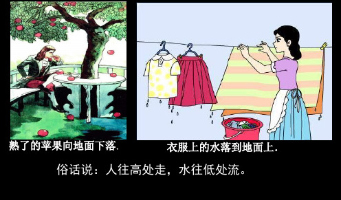 人教版八年级物理下册：7.3 重力(共32张PPT)