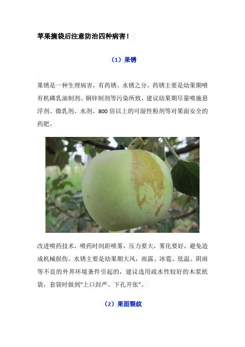 苹果摘袋后注意防治四种病害