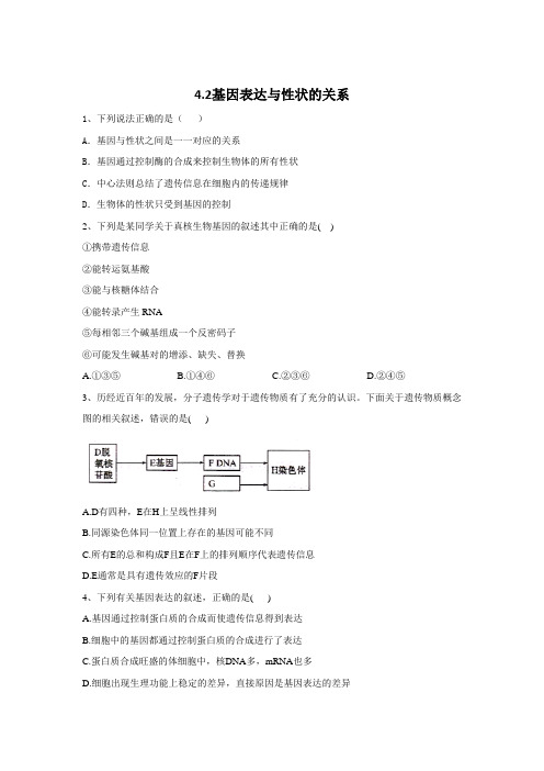 2019-2020学年高中生物人教版(2019)必修二同步学典:4.2基因表达与性状的关系 Word版含答案