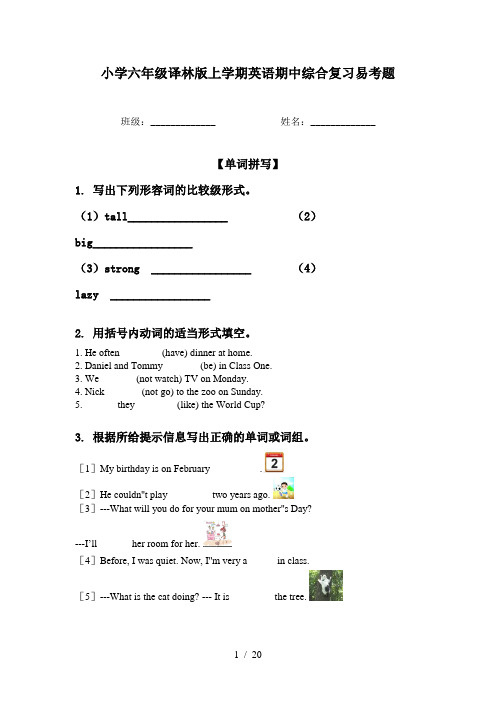 小学六年级译林版上学期英语期中综合复习易考题