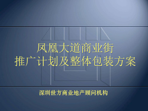 某商业街推广计划与整体包装方案