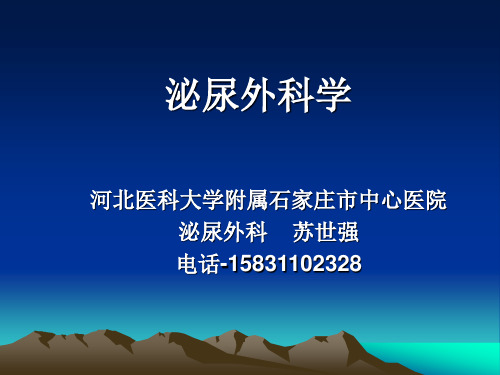 外科课件第五十一章泌尿男生殖系统外科检查和诊断