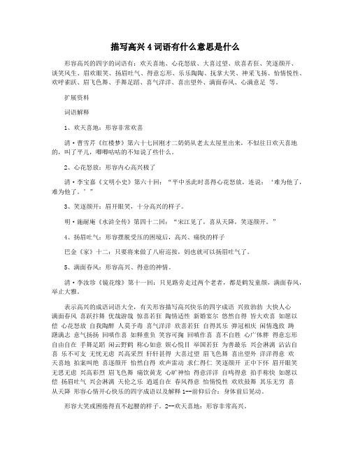 描写高兴4词语有什么意思是什么